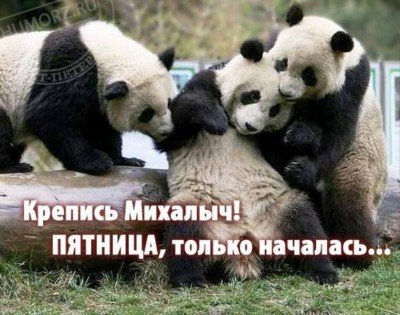 15.jpg (95.65 КБ) 3478 просмотров 15.jpg