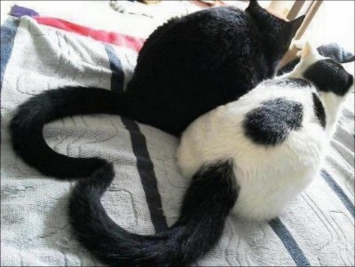 11.jpg (122.24 КБ) 3479 просмотров 11.jpg