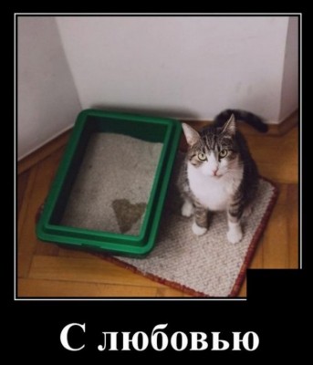 12.jpg (90.22 КБ) 3585 просмотров 12.jpg