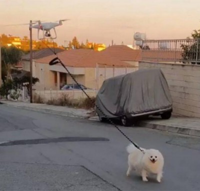 14.jpg (90.74 КБ) 3583 просмотра 14.jpg