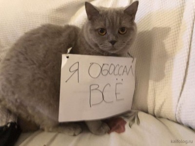 12.jpg (42.88 КБ) 2949 просмотров 12.jpg