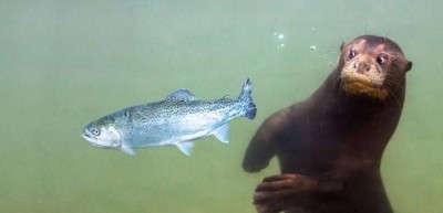 16.jpg (18.37 КБ) 3841 просмотр 16.jpg