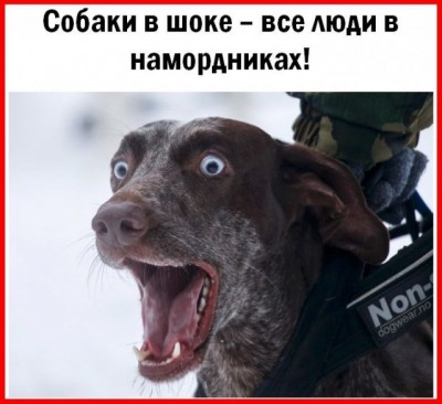 17.jpg (74.07 КБ) 3685 просмотров 17.jpg