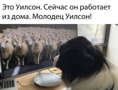 11.jpg (55.92 КБ) 3683 просмотра 11.jpg