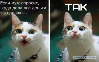 14.jpg (55.81 КБ) 3406 просмотров 14.jpg