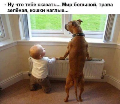 12.jpg (33.55 КБ) 3406 просмотров 12.jpg