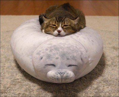 17.jpg (100.86 КБ) 3276 просмотров 17.jpg