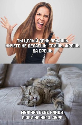 17.jpg (114.15 КБ) 3192 просмотра 17.jpg