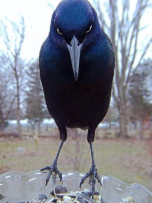 12.jpg (84.61 КБ) 3401 просмотр 12.jpg