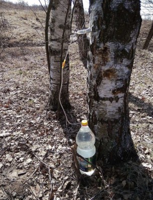 15.jpg (301.83 КБ) 3376 просмотров 15.jpg