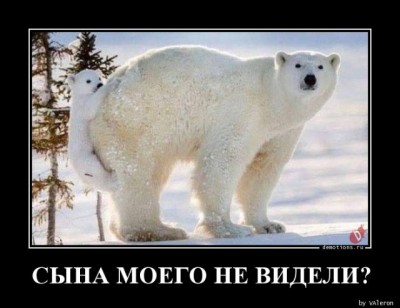 14.jpg (71.16 КБ) 3427 просмотров 14.jpg