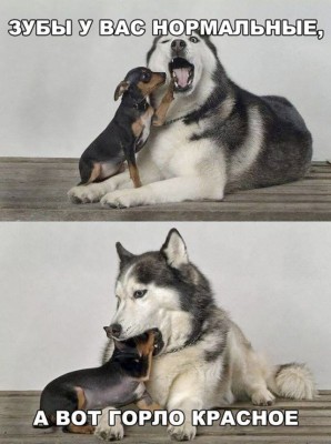 16.jpg (116.14 КБ) 3285 просмотров 16.jpg