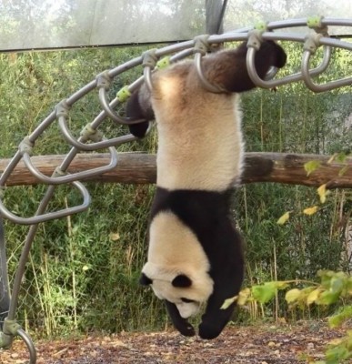 14.jpg (136.63 КБ) 3285 просмотров 14.jpg