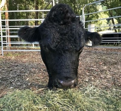 12.jpg (175.91 КБ) 3109 просмотров 12.jpg