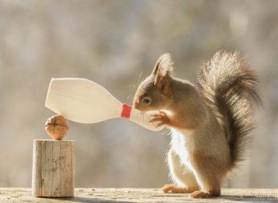 11.jpg (41.23 КБ) 3279 просмотров 11.jpg