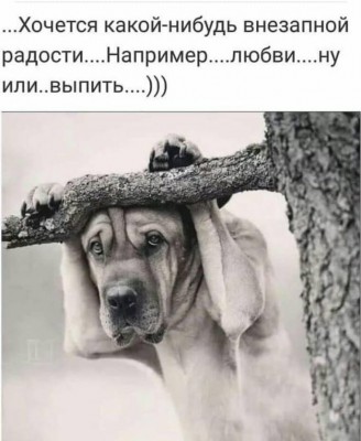 16.jpg (66.93 КБ) 2928 просмотров 16.jpg