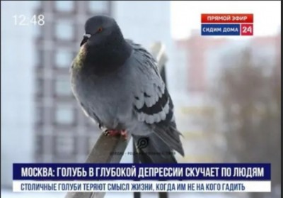 17.jpg (49.53 КБ) 2928 просмотров 17.jpg