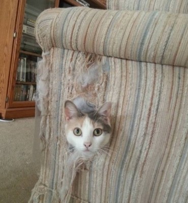 12.jpg (122.94 КБ) 2977 просмотров 12.jpg