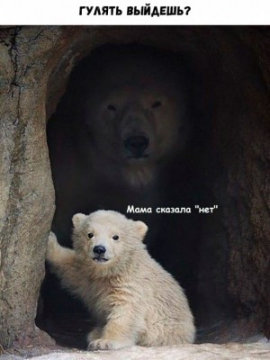 16.jpg (100.81 КБ) 2370 просмотров 16.jpg