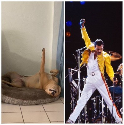 13.jpg (82.91 КБ) 3096 просмотров 13.jpg