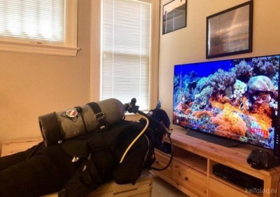 11.jpg (63.24 КБ) 2937 просмотров 11.jpg