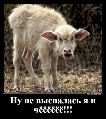 14.jpg (100.86 КБ) 2946 просмотров 14.jpg