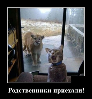 13.jpg (62.38 КБ) 2942 просмотра 13.jpg