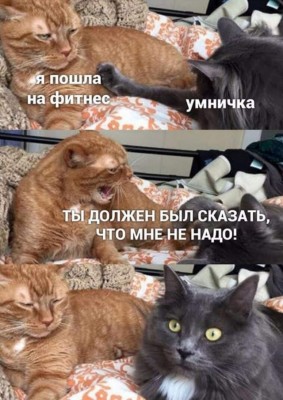 11.jpg (143.95 КБ) 2950 просмотров 11.jpg