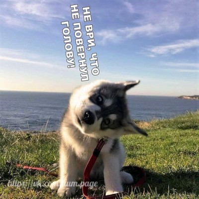 15.jpg (115.01 КБ) 2809 просмотров 15.jpg