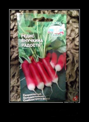 13.jpg (69.84 КБ) 2760 просмотров 13.jpg