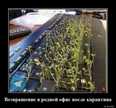 13.jpg (92.21 КБ) 2543 просмотра 13.jpg