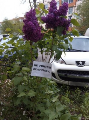 11.jpg (118.04 КБ) 2412 просмотров 11.jpg