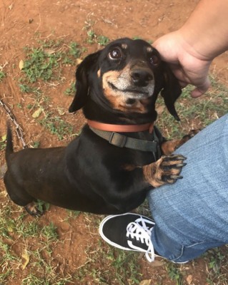 14.jpg (173.31 КБ) 2418 просмотров 14.jpg