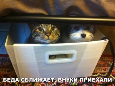 14.jpg (49.92 КБ) 2303 просмотра 14.jpg