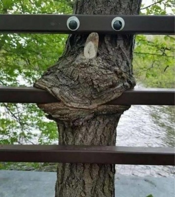 15.jpg (116.94 КБ) 2634 просмотра 15.jpg