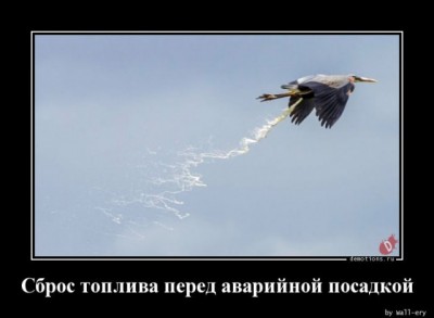 14.jpg (38.95 КБ) 2668 просмотров 14.jpg