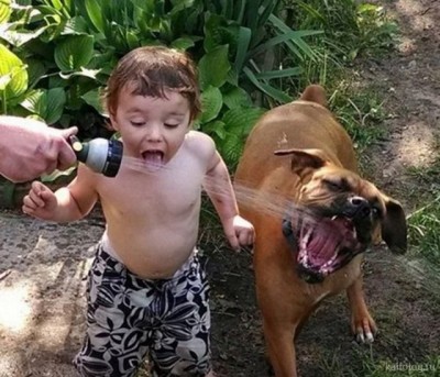 13.jpg (88.79 КБ) 2497 просмотров 13.jpg