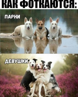 15.jpg (107.03 КБ) 2495 просмотров 15.jpg