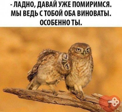 19.jpg (66.17 КБ) 2534 просмотра 19.jpg