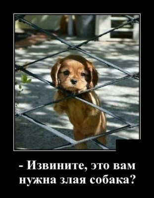 14.jpg (76.06 КБ) 2496 просмотров 14.jpg