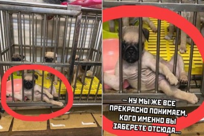 17.jpg (75.88 КБ) 3101 просмотр 17.jpg