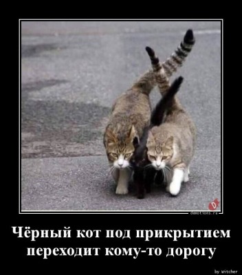 14.jpg (83.26 КБ) 2918 просмотров 14.jpg