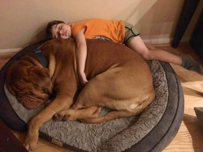 13.jpg (63.47 КБ) 2742 просмотра 13.jpg