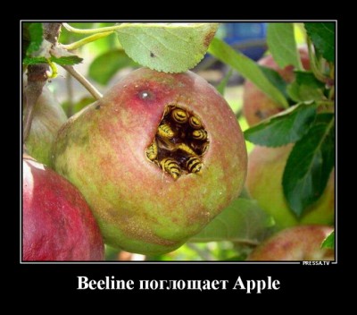 12.jpg (109.88 КБ) 3070 просмотров 12.jpg