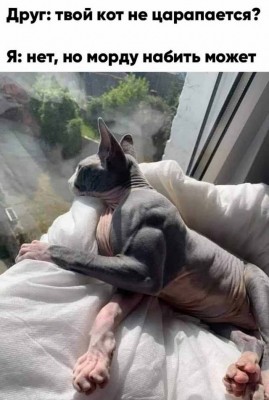 16.jpg (113.38 КБ) 3149 просмотров 16.jpg