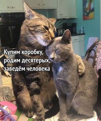 16.jpg (145.59 КБ) 2836 просмотров 16.jpg