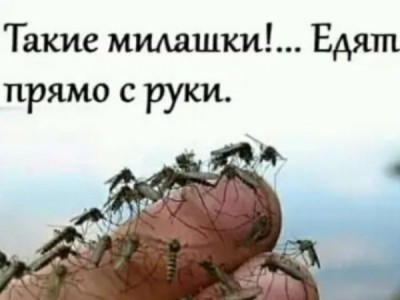 13.jpg (32.1 КБ) 3004 просмотра 13.jpg