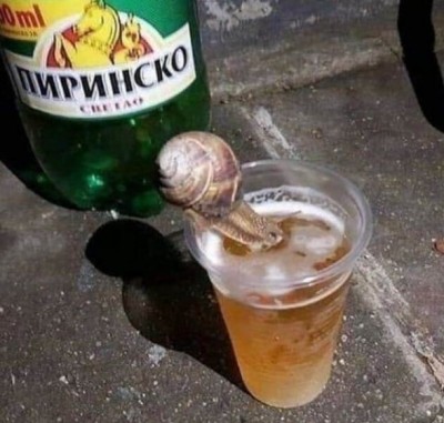 14.jpg (106.01 КБ) 2712 просмотров 14.jpg