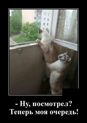 13.jpg (64.36 КБ) 2447 просмотров 13.jpg