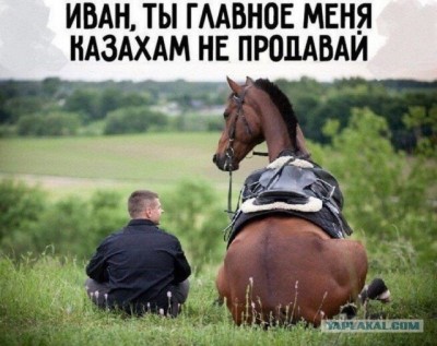 15.jpg (96.7 КБ) 2626 просмотров 15.jpg